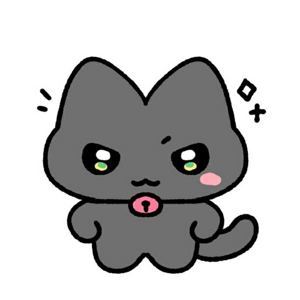 캣