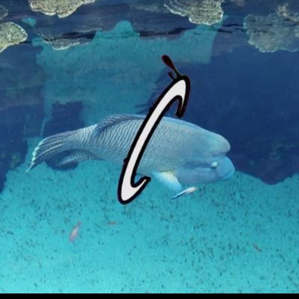 FloNDG
