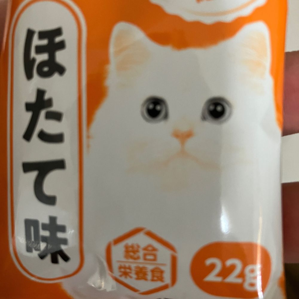 四条ジェームス