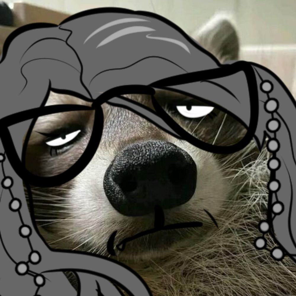 🦝tired🦝