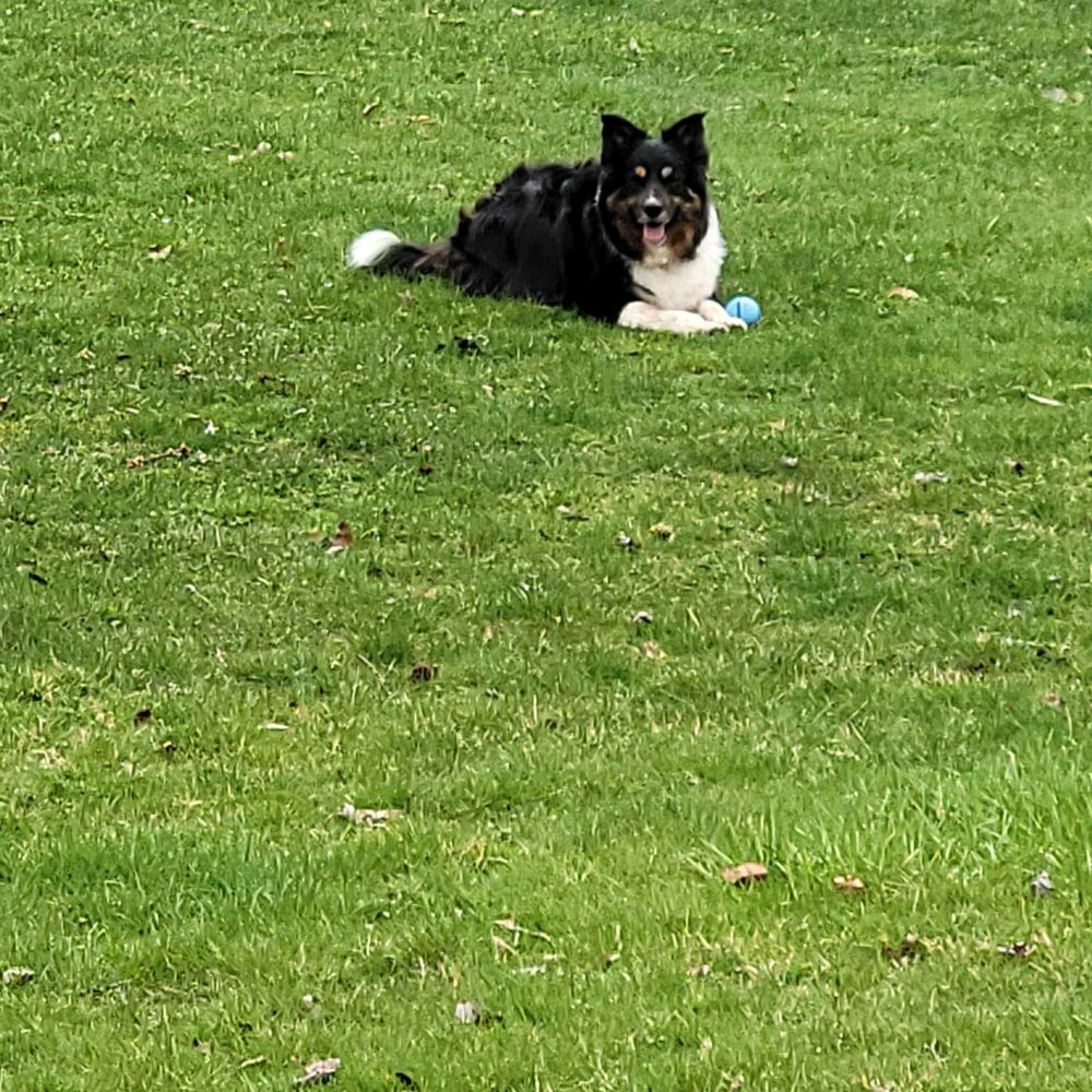 butch108.bsky.social