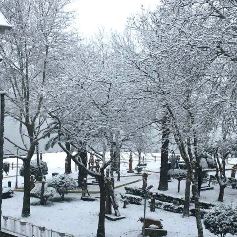 Ftşmnp