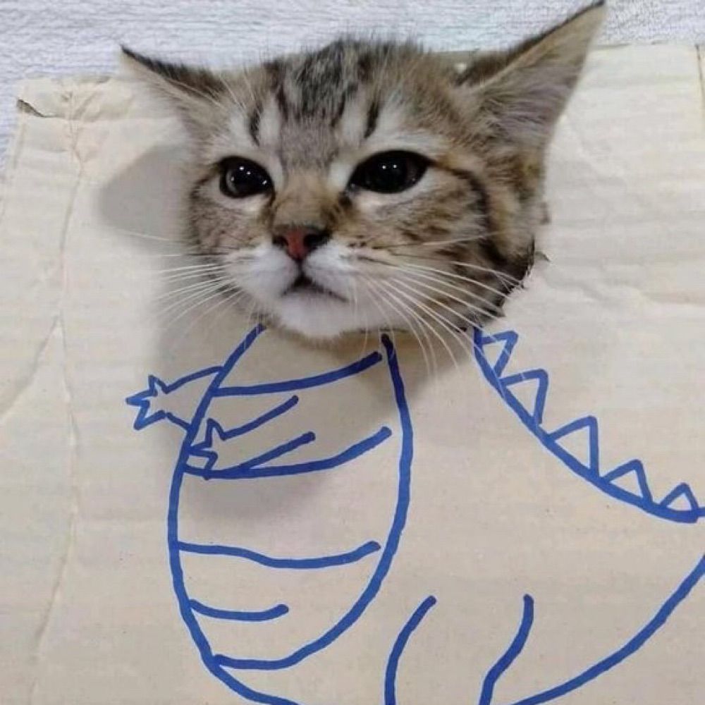 Tom