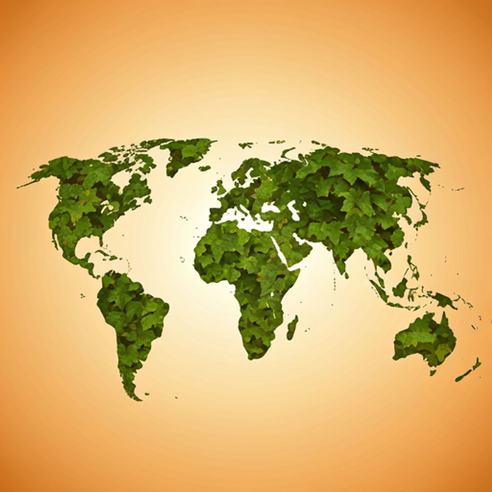 VineMapper