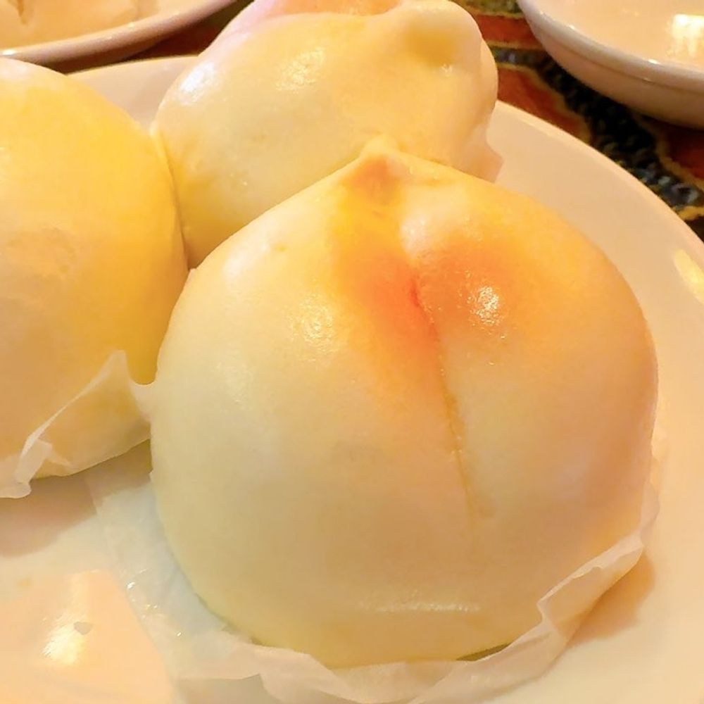 樹乃