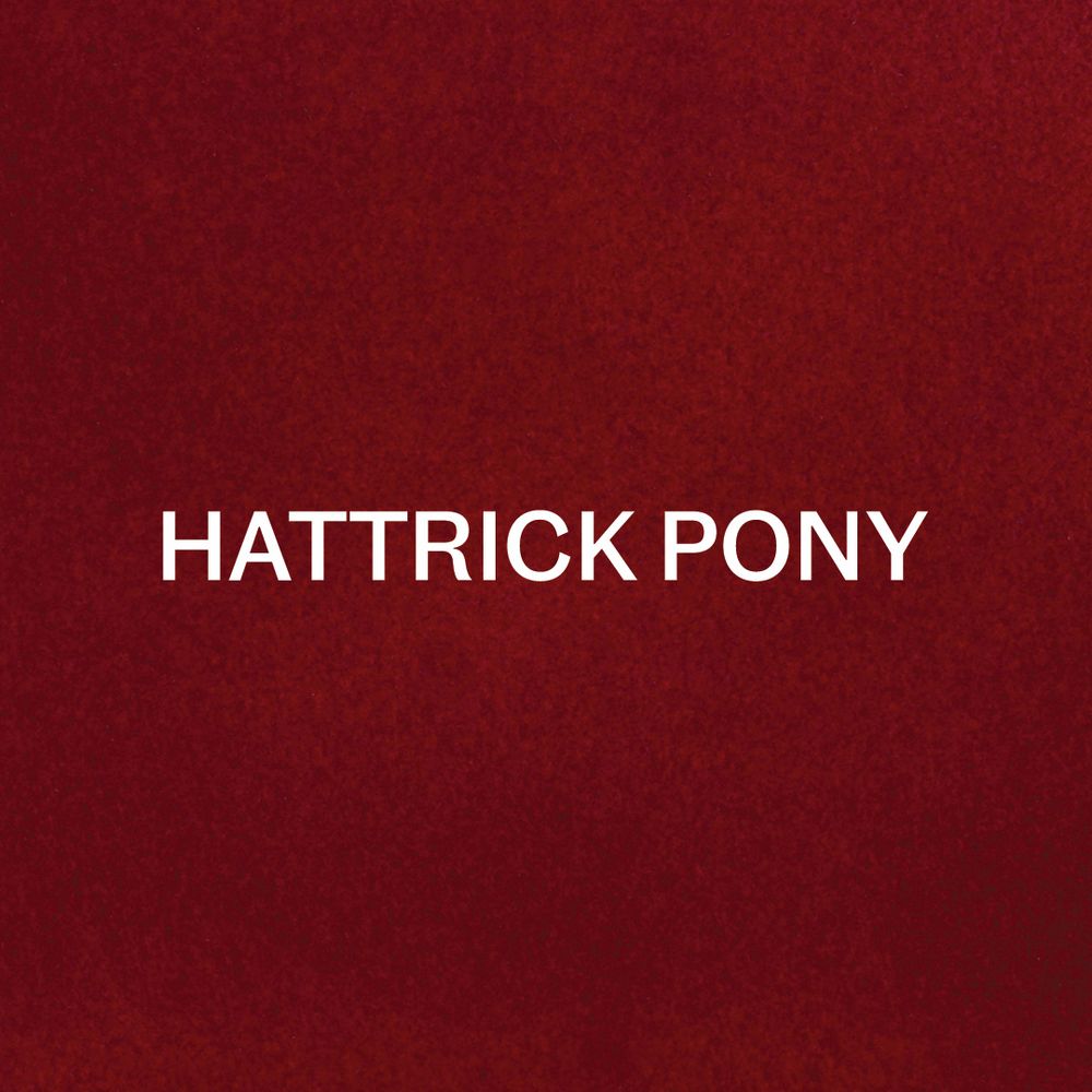 Hattrick Pony