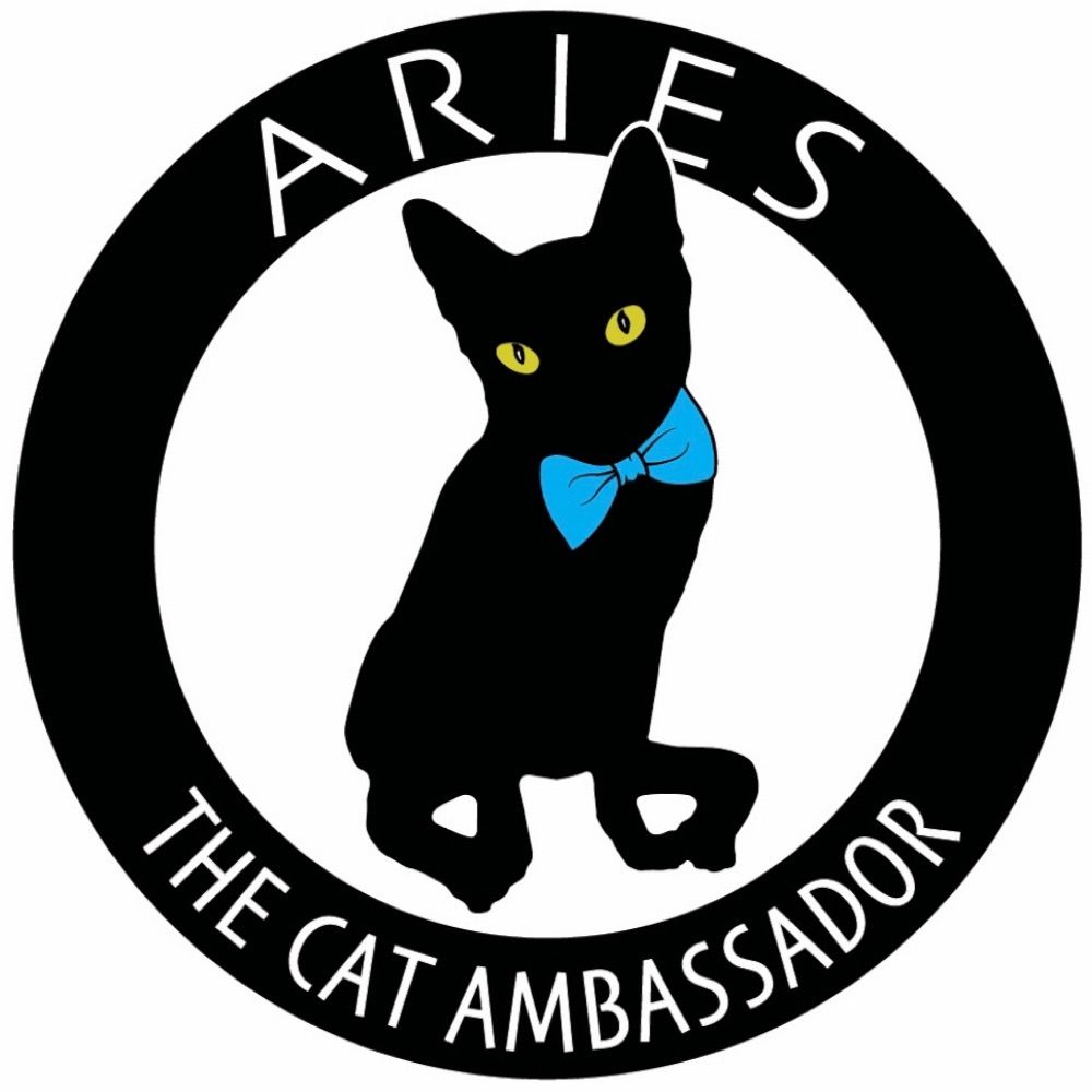 Aries The Cat Ambassador