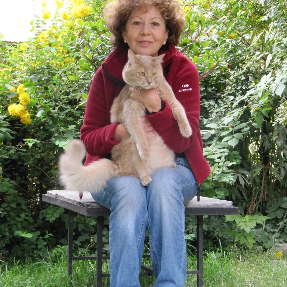 Cécile citoyenne du monde🕊️ 🤝 🐢 🐢 🐢☀️