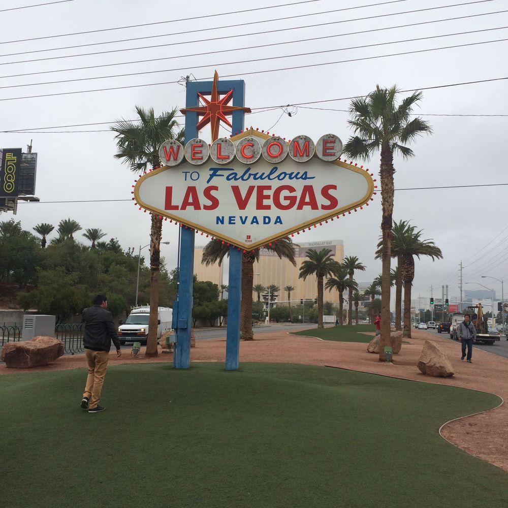 Vegas Savvy