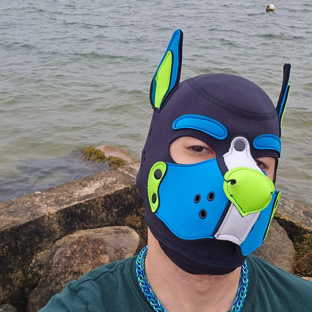 Pup Ollie
