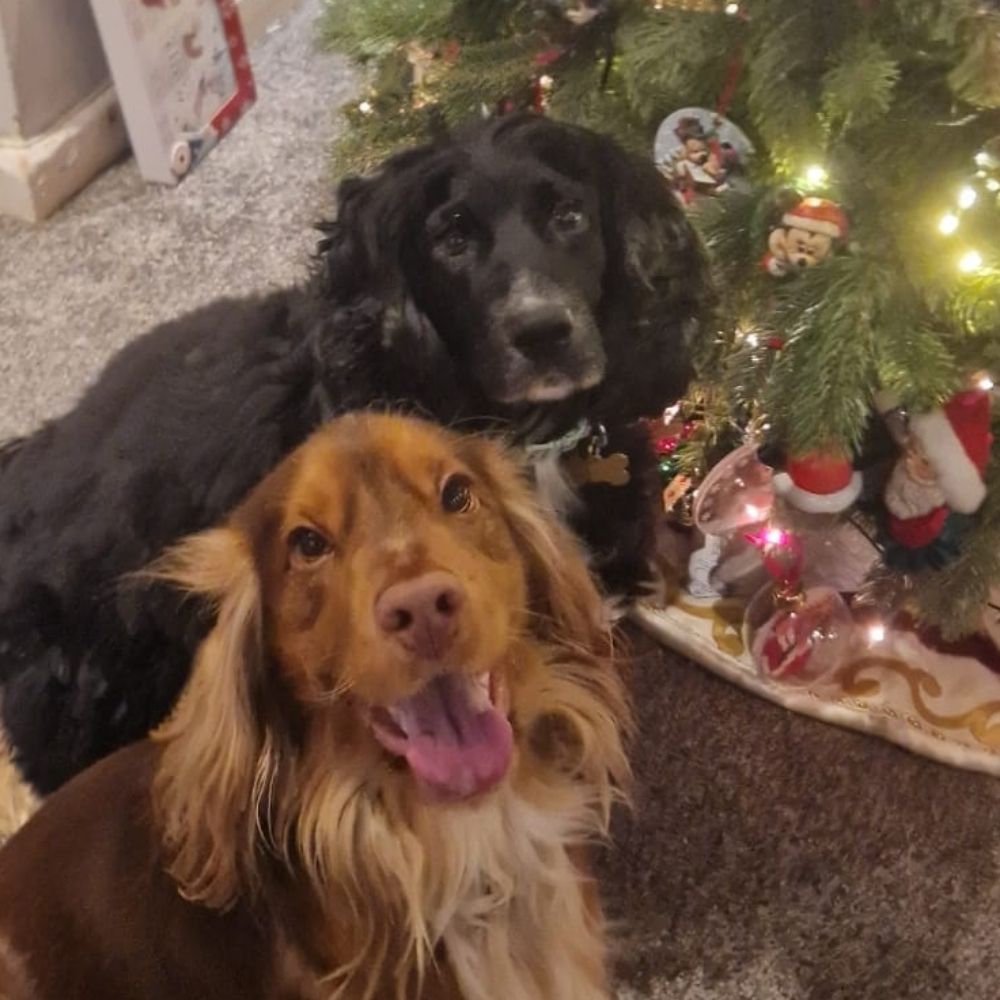 Minnie and Tigger