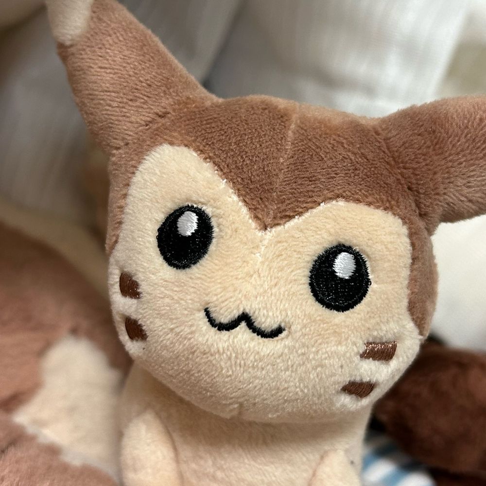 しまこ