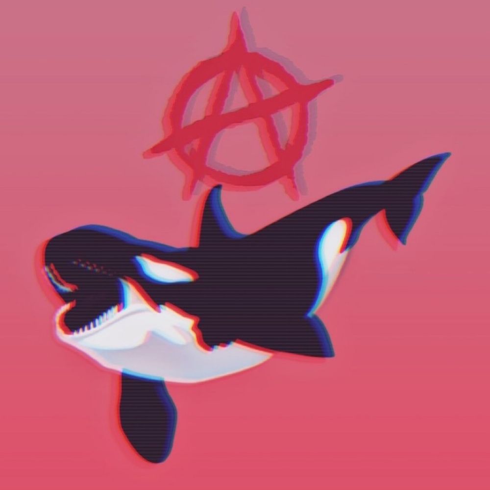 Anarcho-Orca