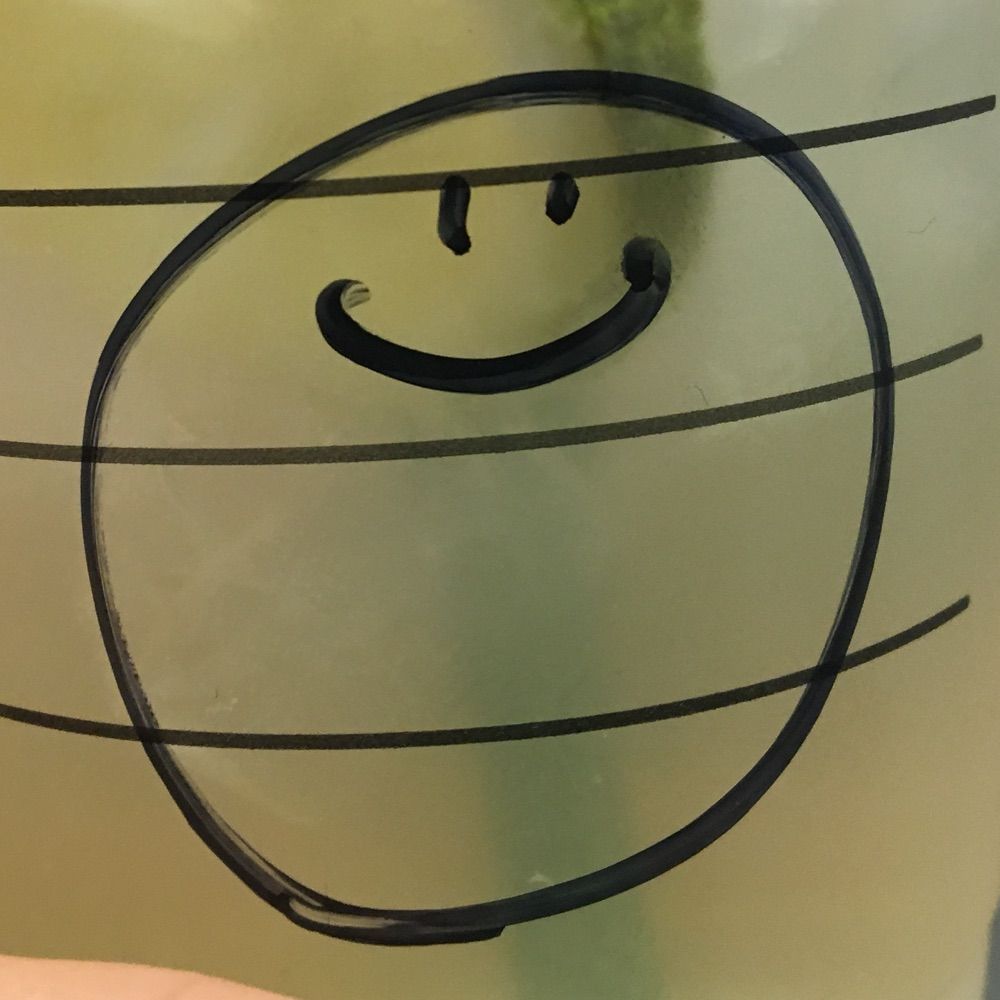 くらげ