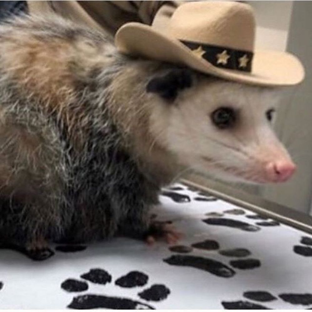 Harvey