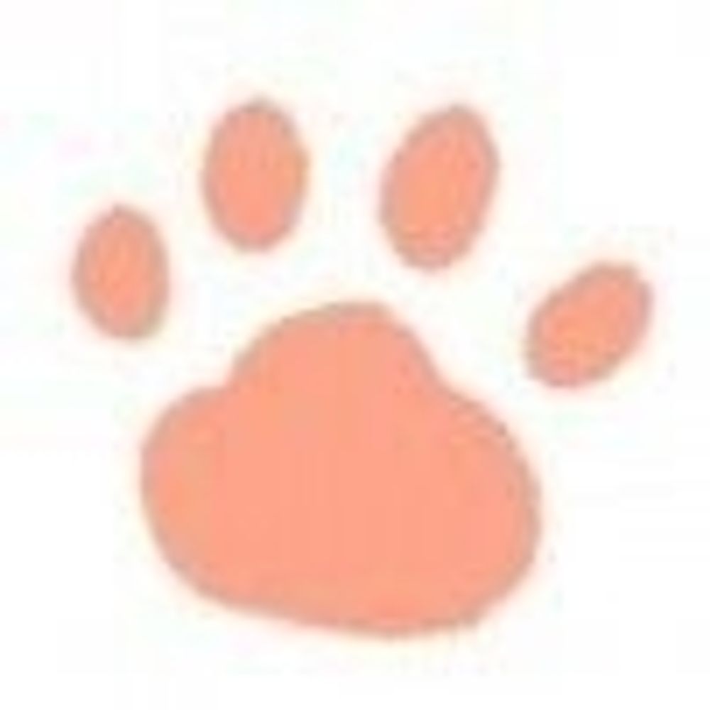 ありす🐾