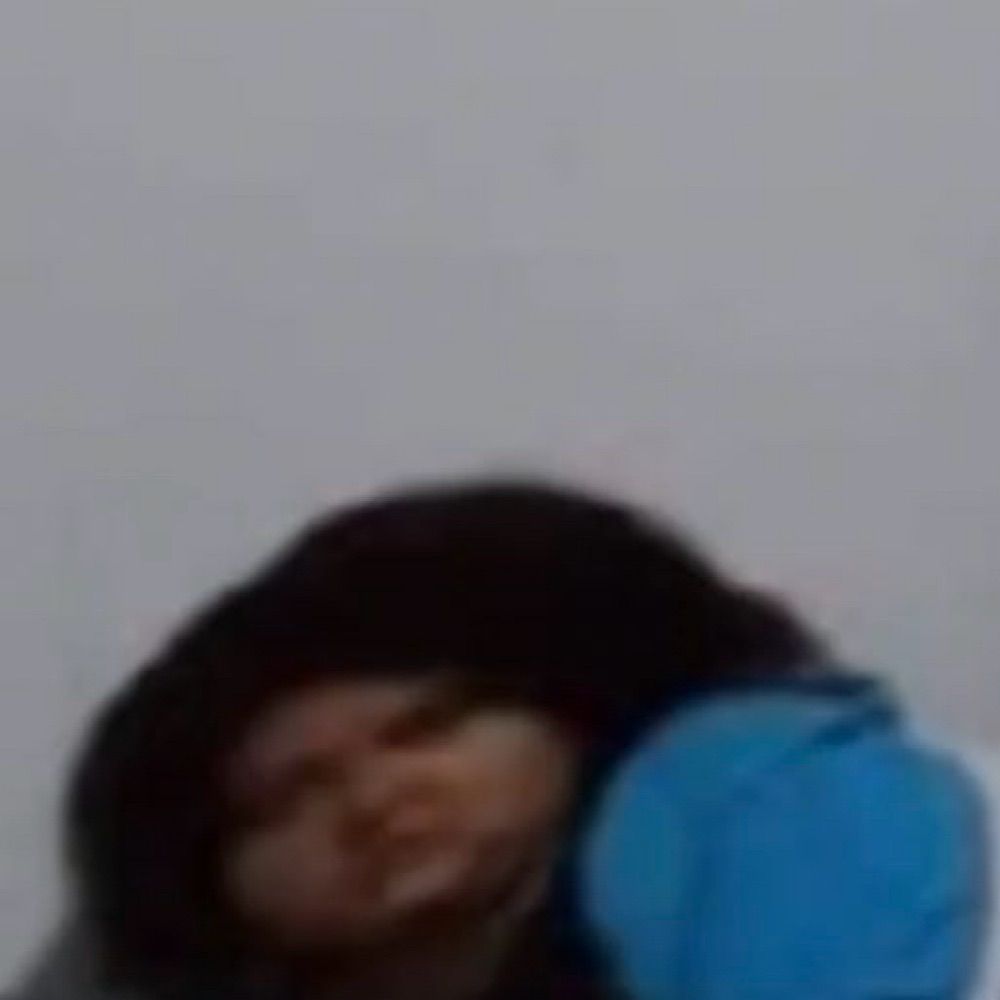 Vini Máfia do Jayzinho 