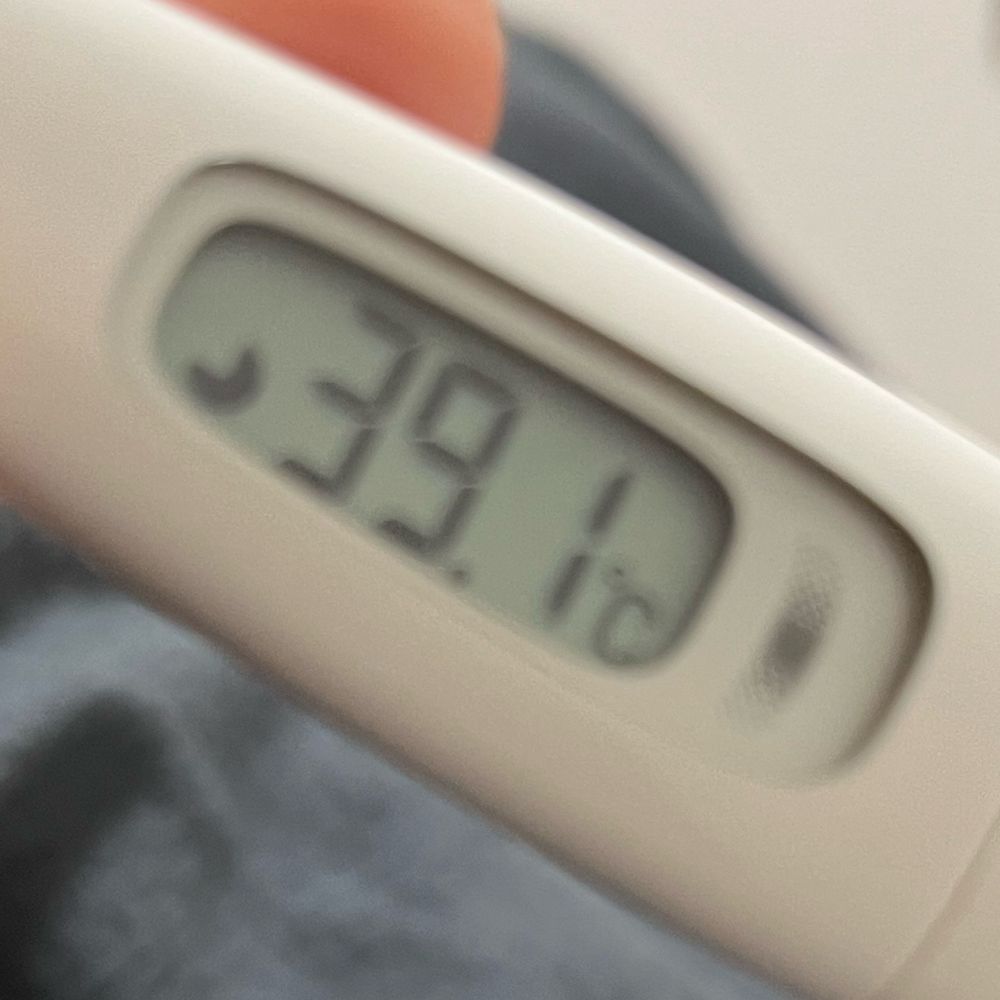微熱