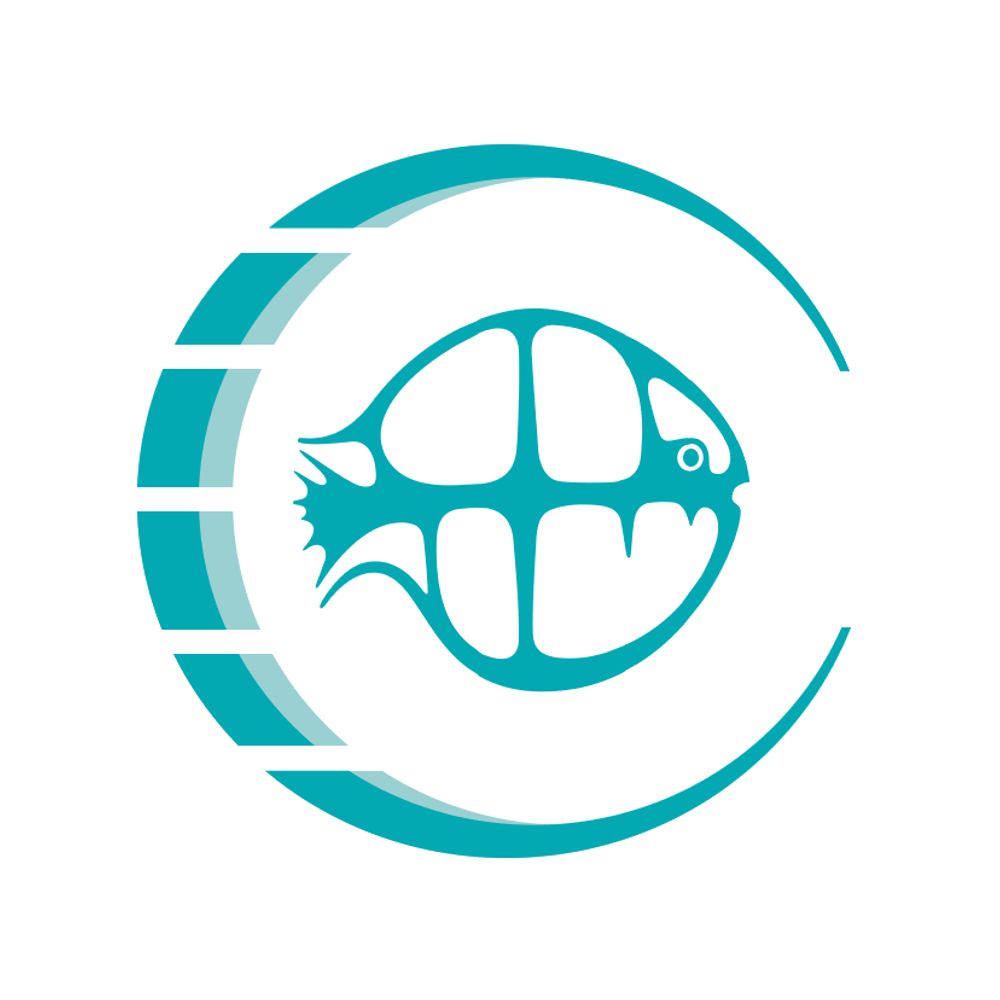 The FSBI