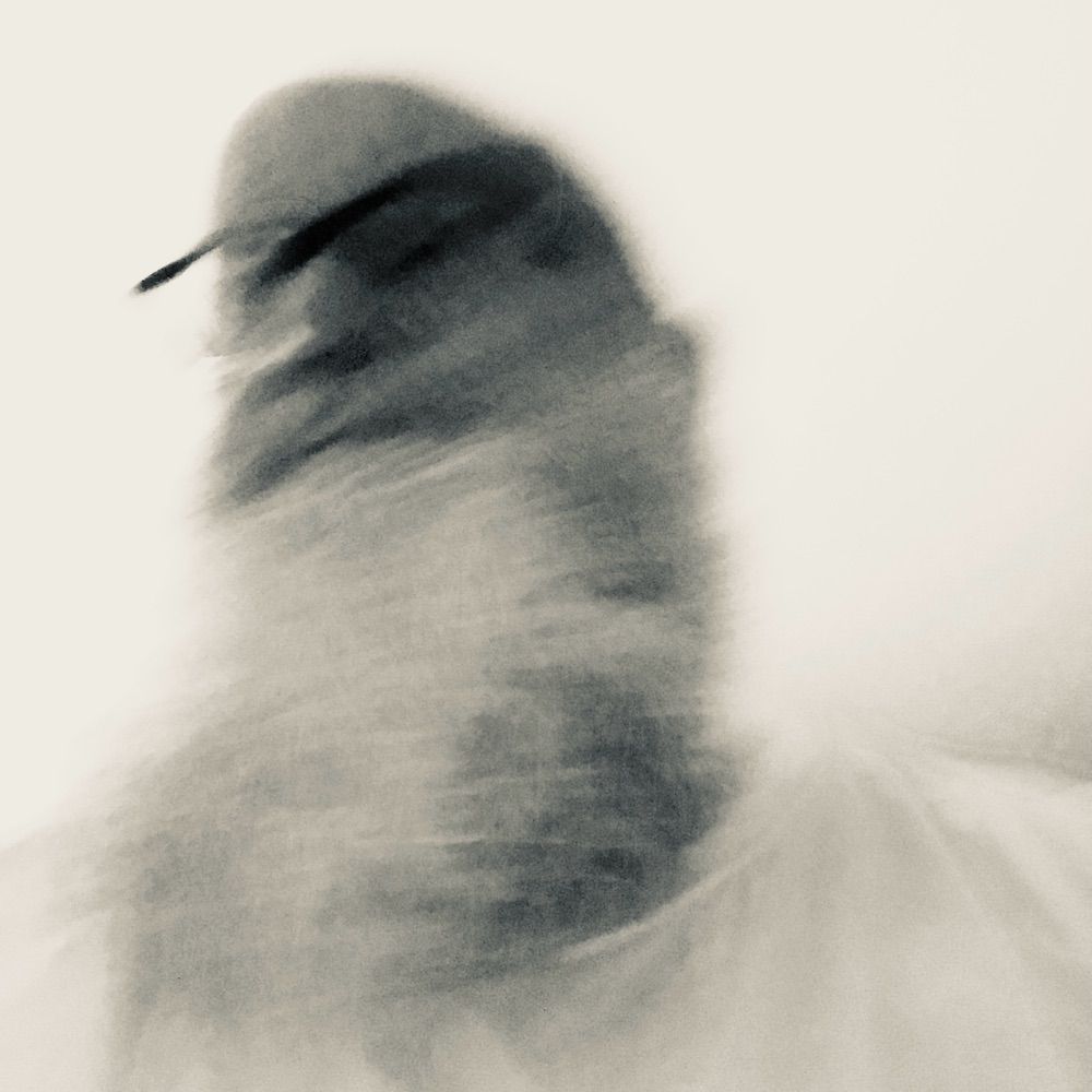 Emerson Craver Photography