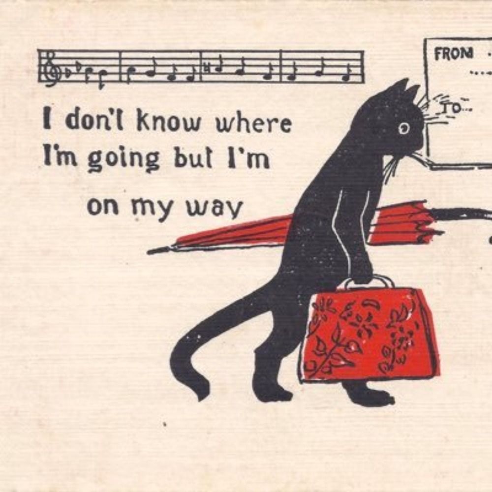 Cat Chong