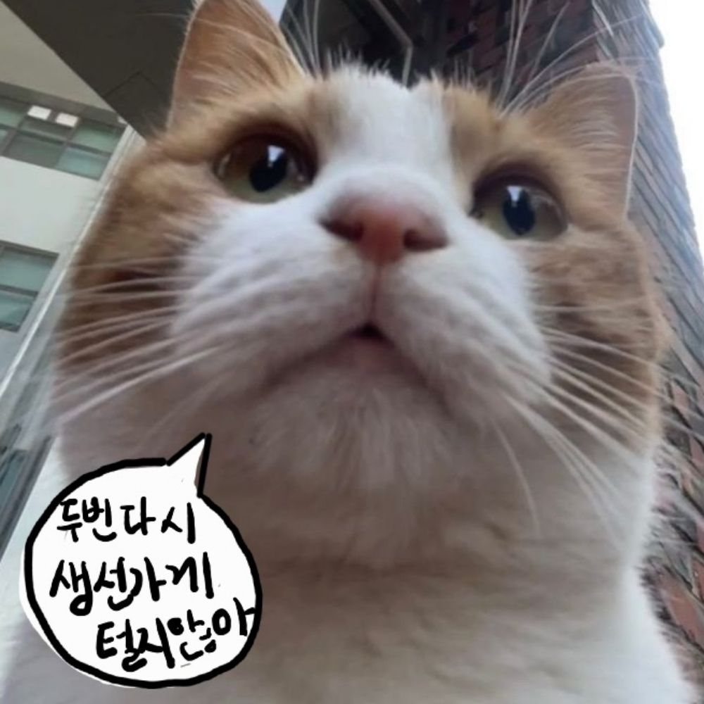 라즈베리