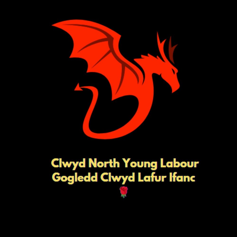 Young Labour Clwyd North