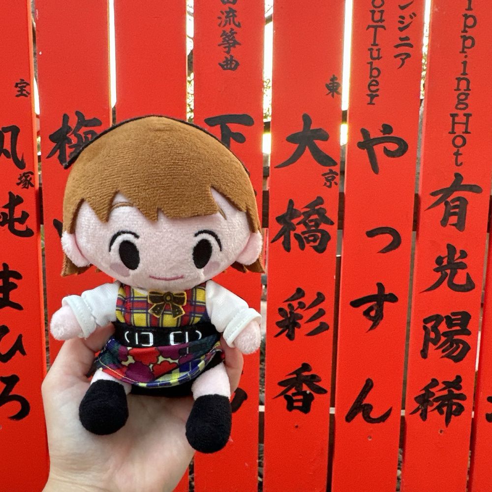 珊瑚