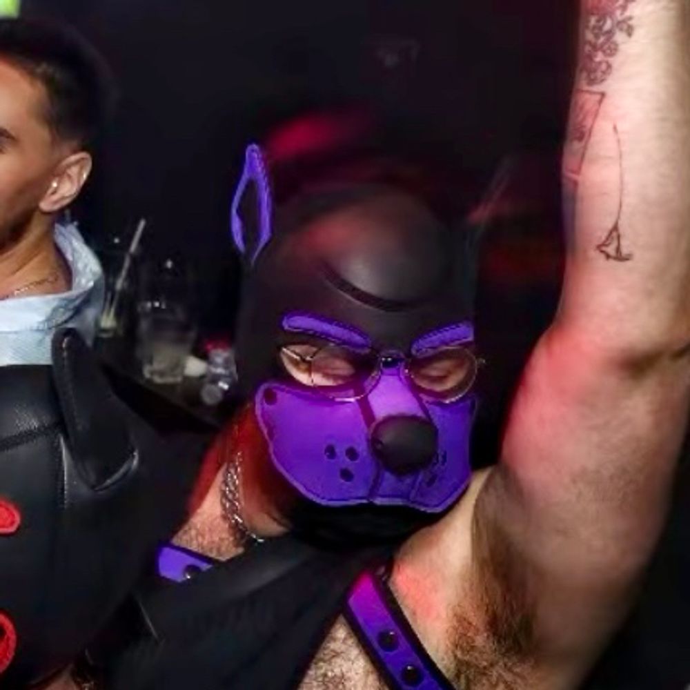 pup kobu