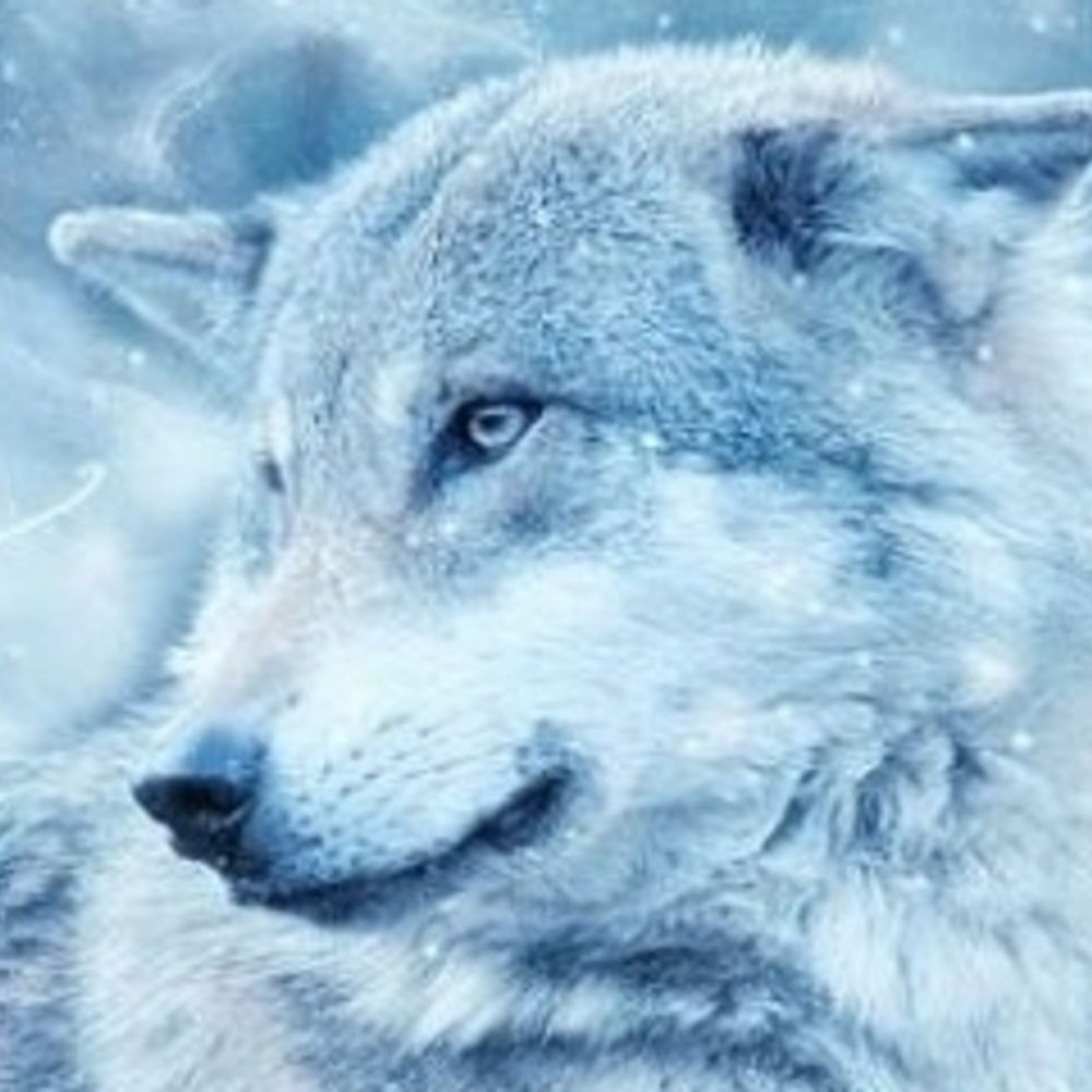 雪狼ロウ