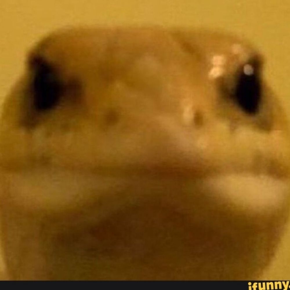 Lolcomig 02 