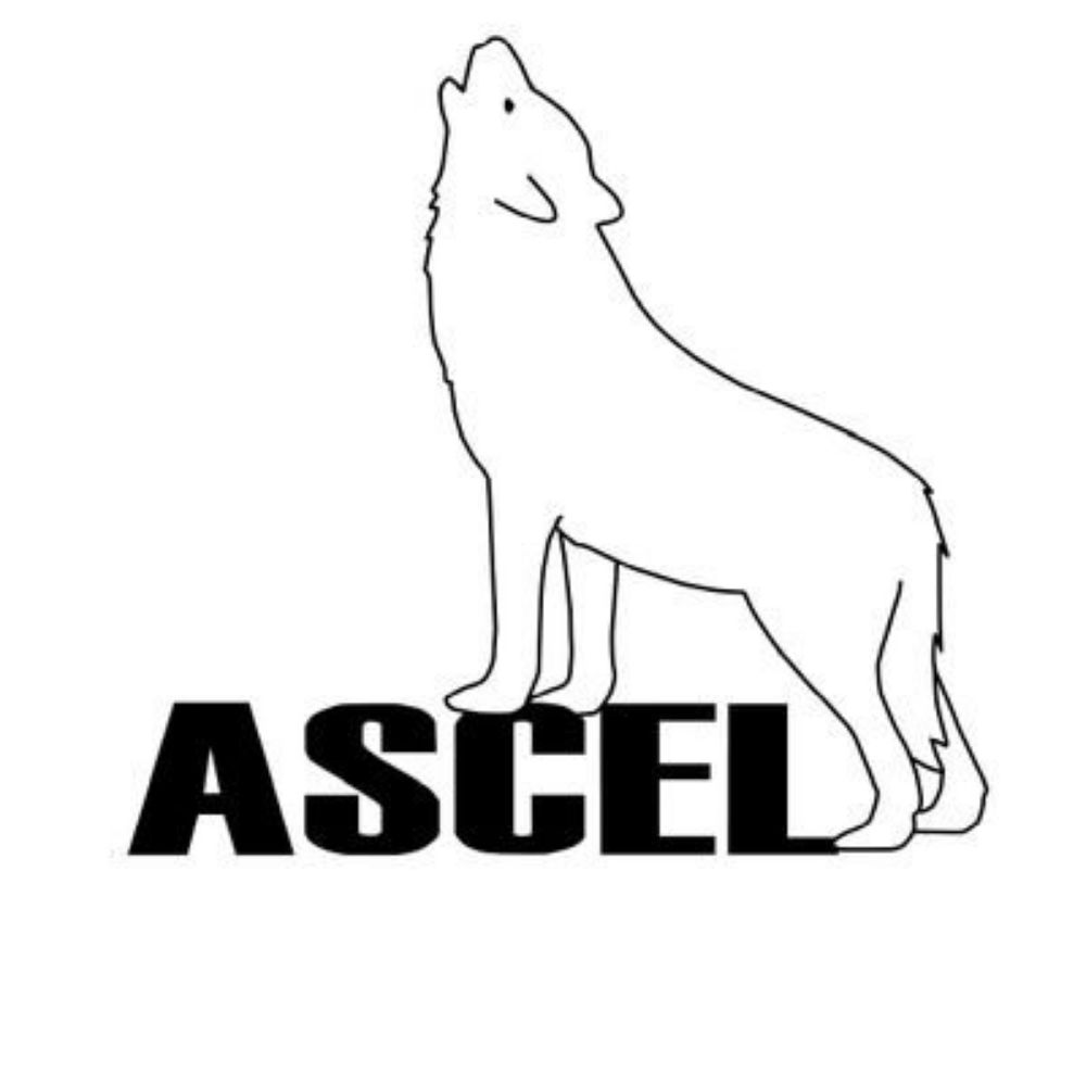 ASCEL