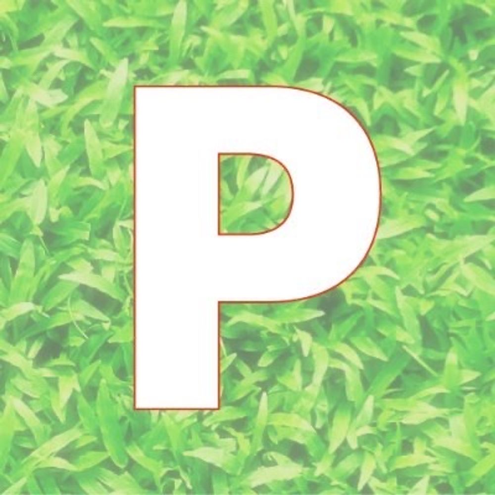 PKGwebオンリーフェス