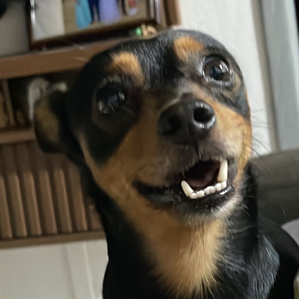 o psiquiatra não me aceitou
