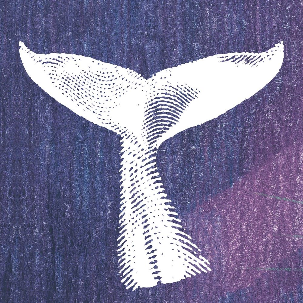 Editora Moby Dick