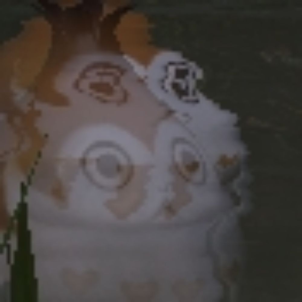 꼬꼬