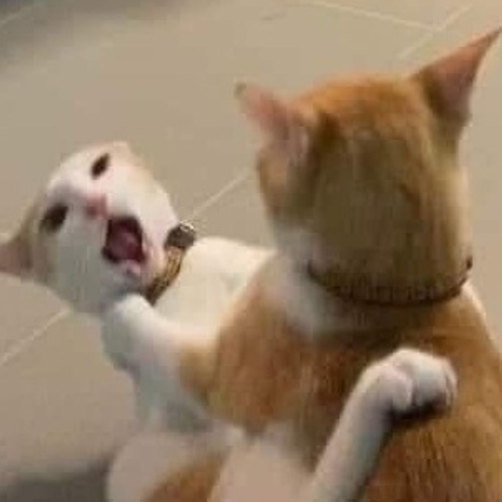 りっちゃ