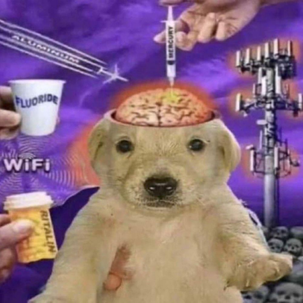 Beyondinsane