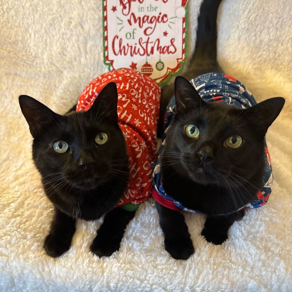 Oscar and Felix