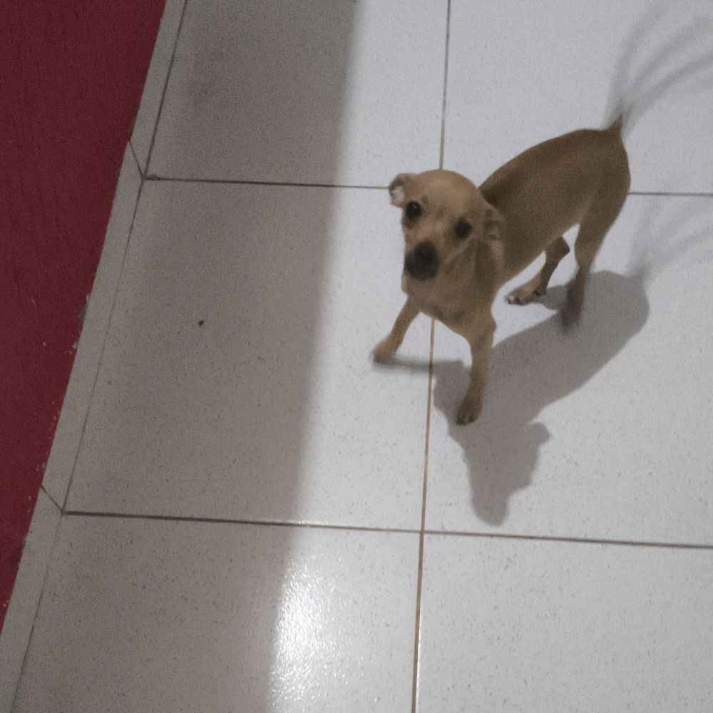 Juliolindo