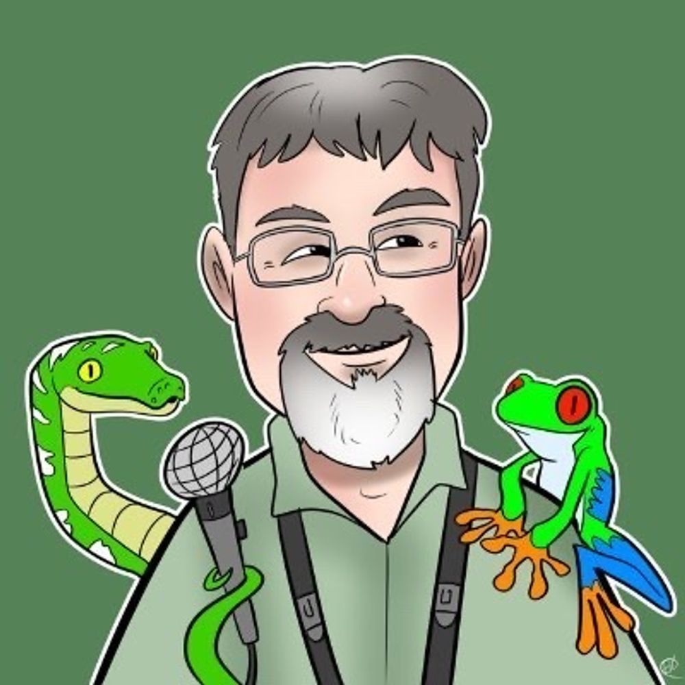 Mike Pingleton's avatar