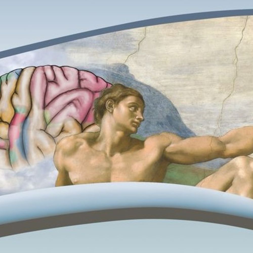 European Federation for Experimental Morphology
