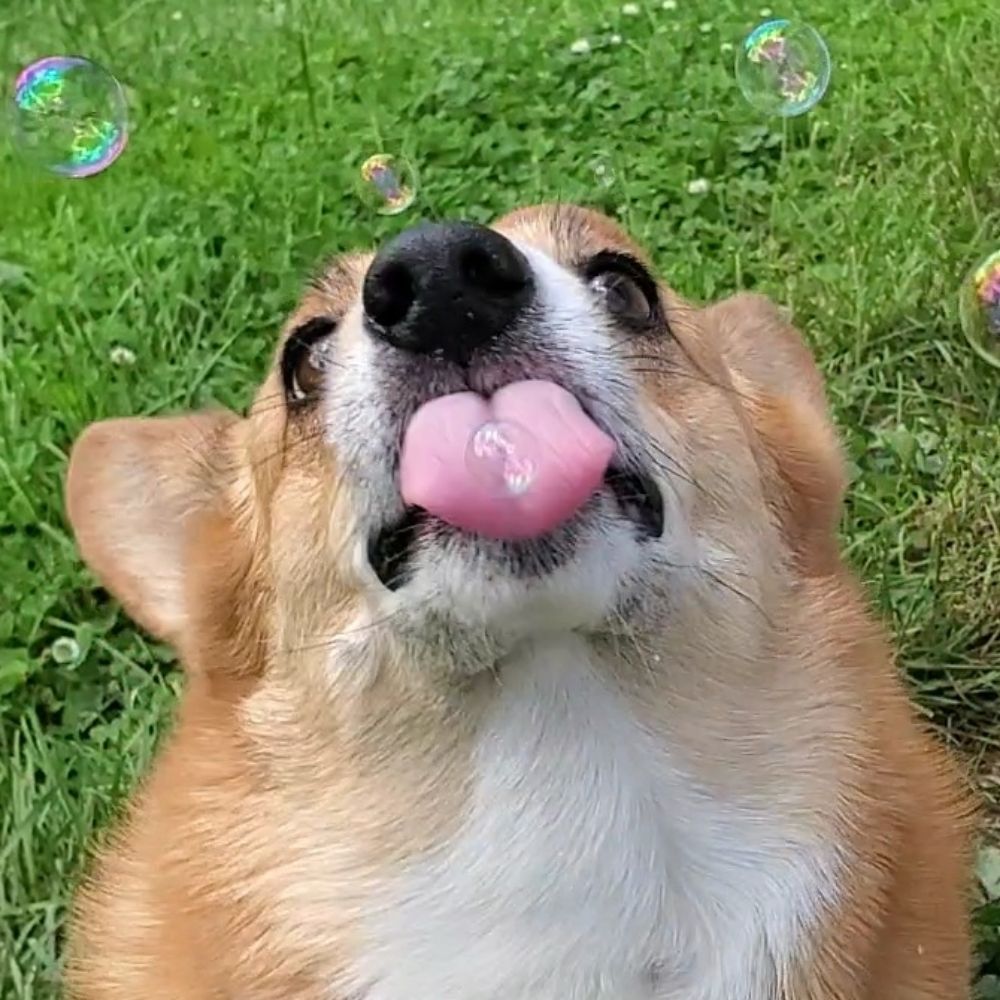 ♡