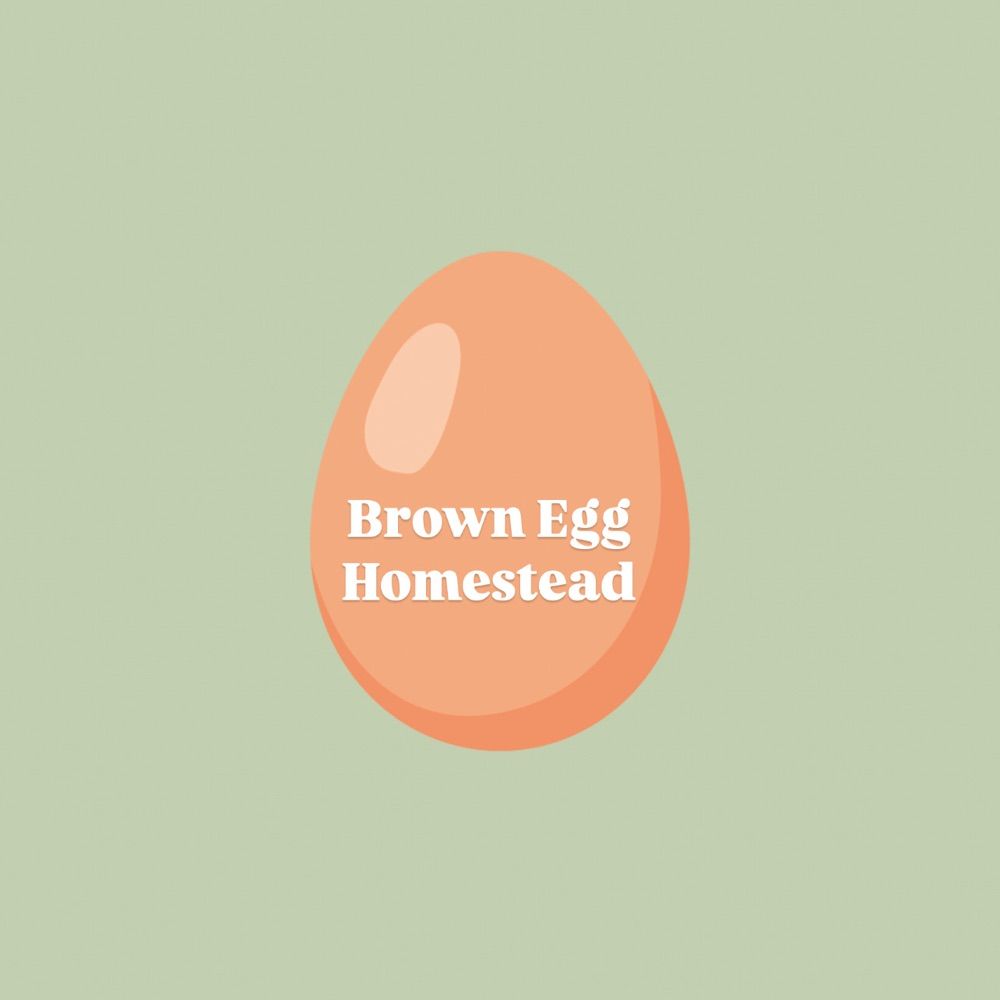 Brown Egg Homestead