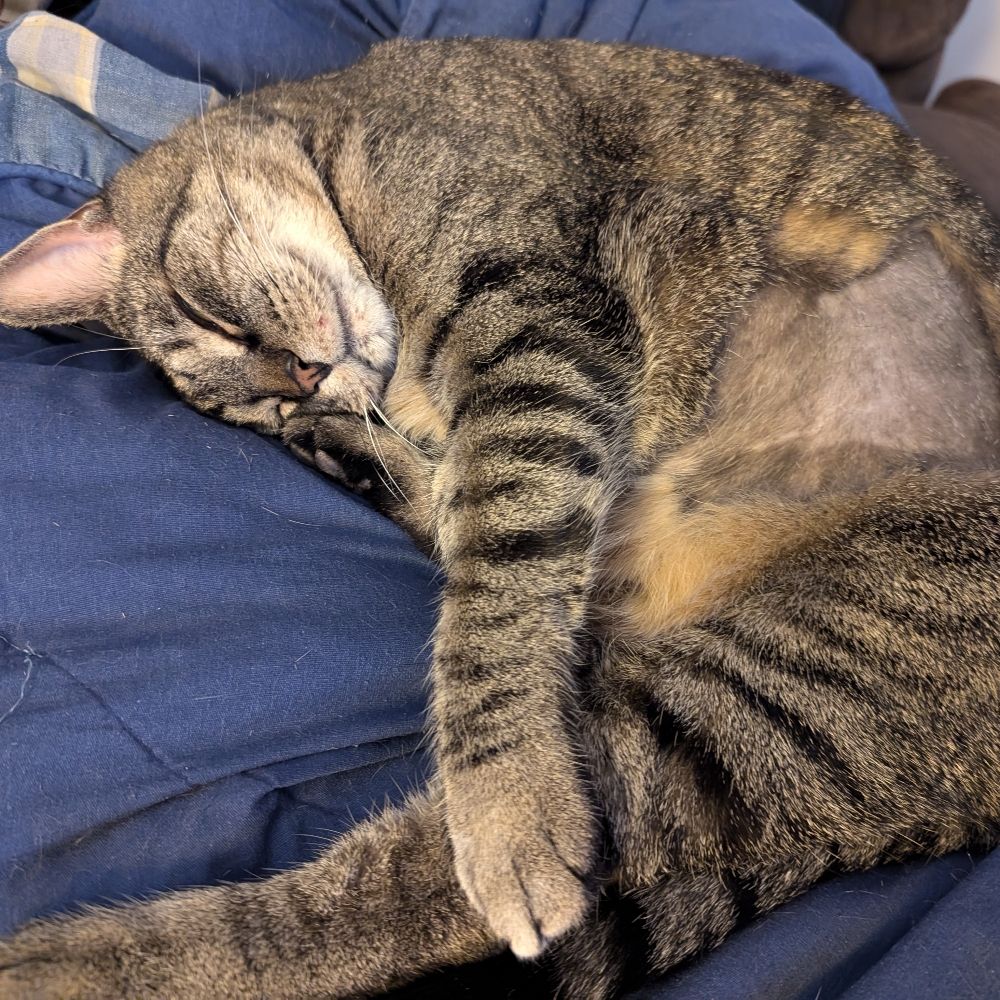 Gabby