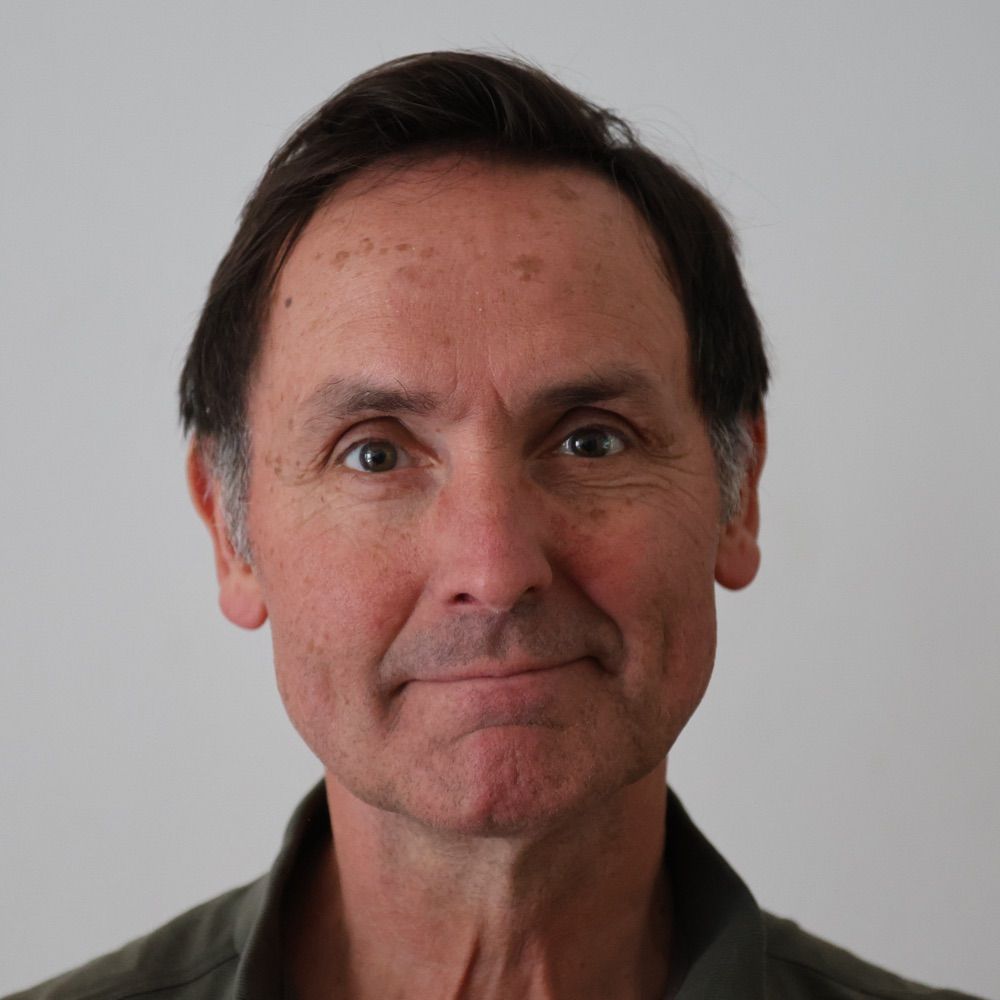 Hugo Haenen