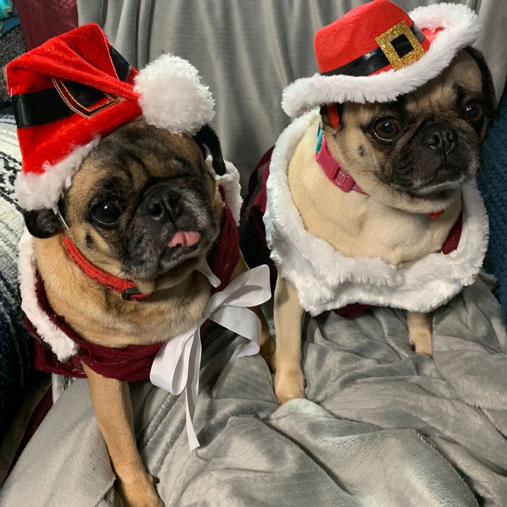 Winky and Maxxy