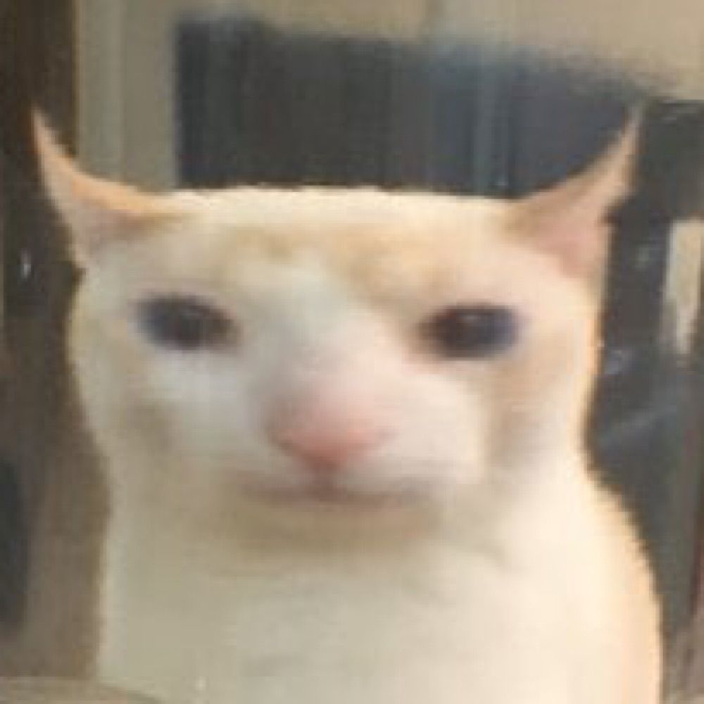 ろると