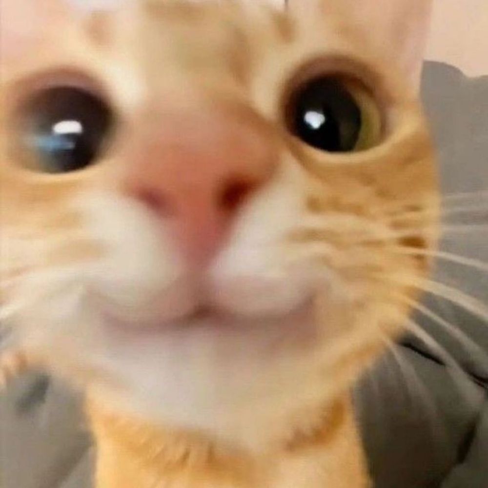 mel