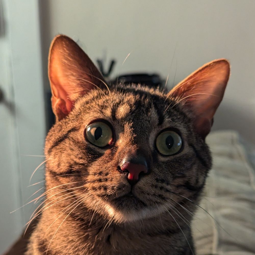 Weh